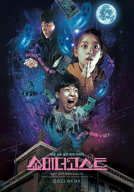 全集免费观看超清